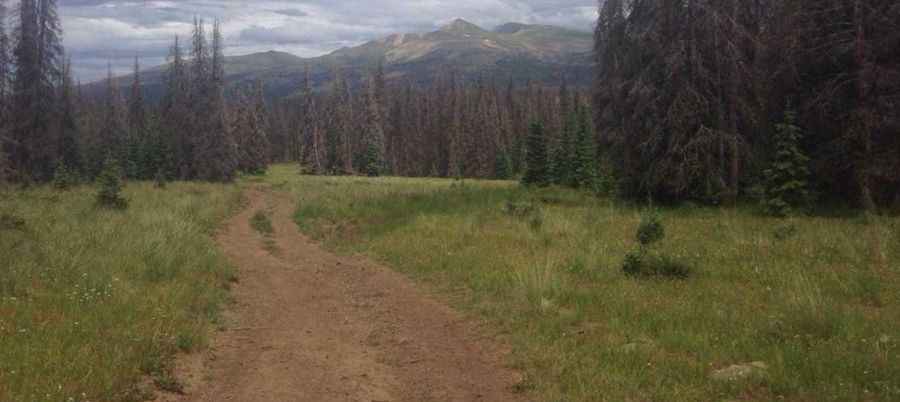 Travel guide to the top of Coney Summit