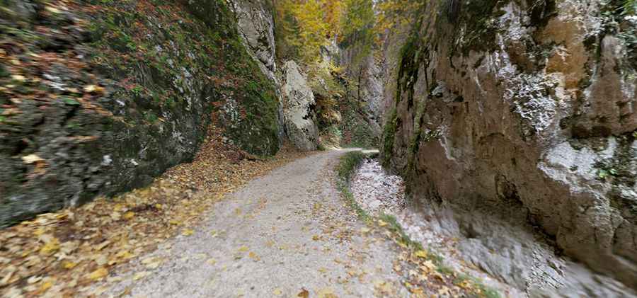 Travelling through the defiant Gorges of Zarnesti