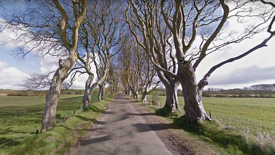 What is Dark Hedges known for?