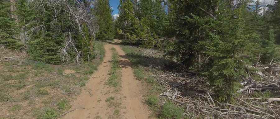 What is the route of Forest Road 040?