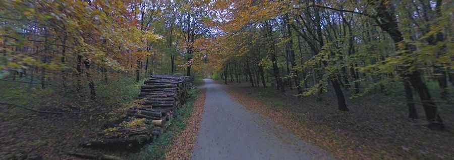 What’s Møns Klint?