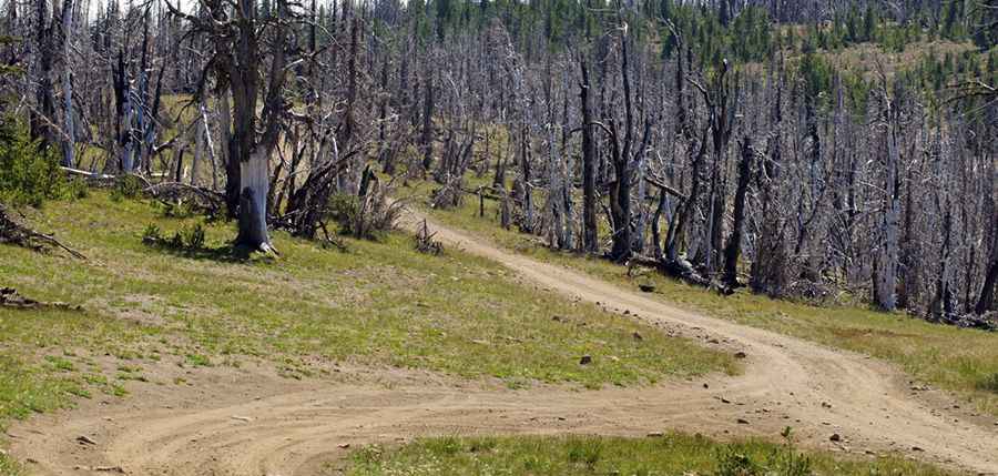 When was the road to Darland Mountain built?