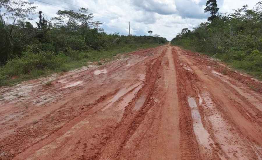 Where does Road BR-319 start and finish?