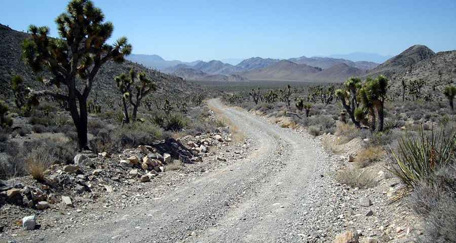 Where is Alamo Road?