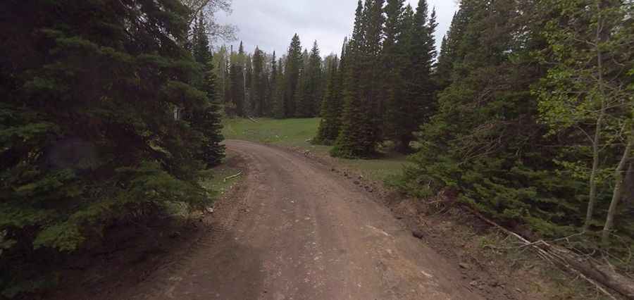 Where is Barney Lake?