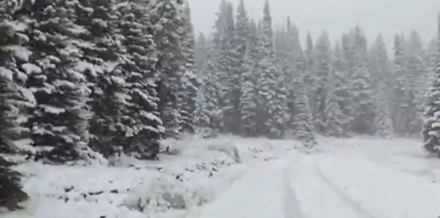 Where is Bears Ears Peak?