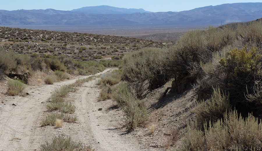 Where is Big Indian Mountain?