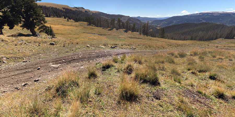 Where is Blowout Pass?