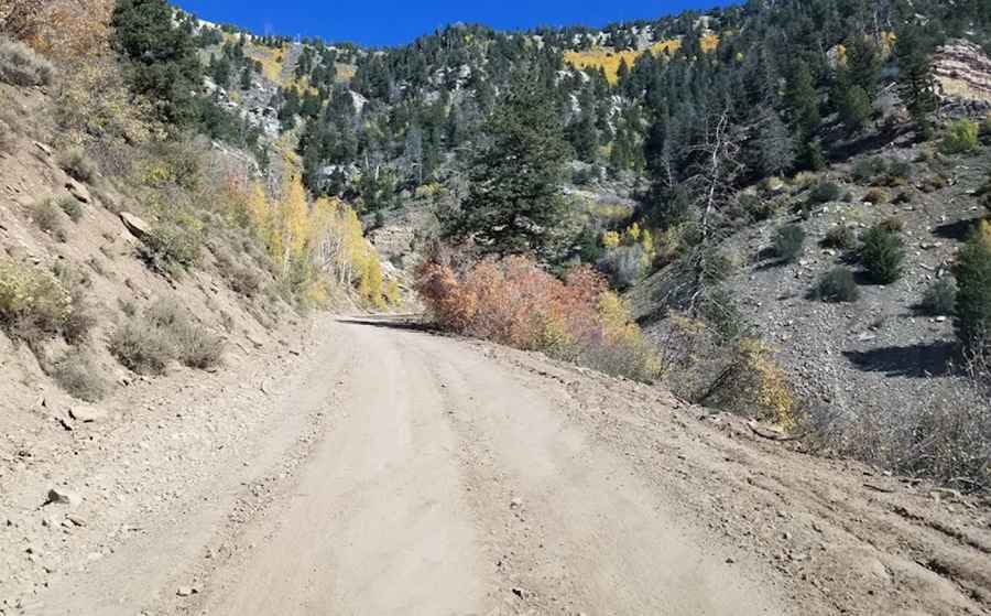 Where is Bruin Point?