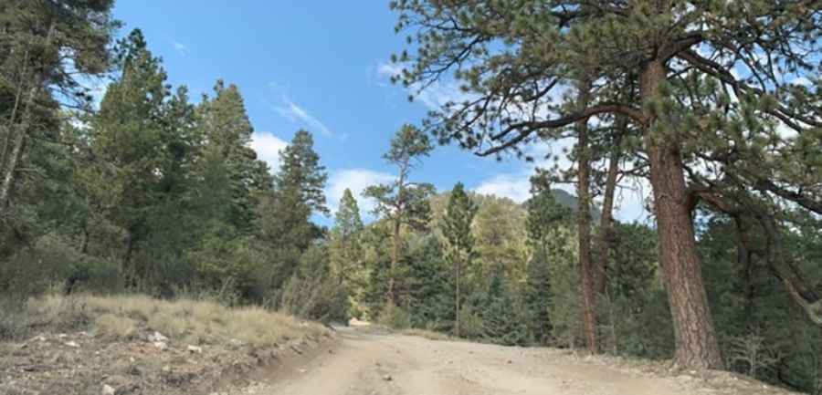 Where is Cabresto Lake?