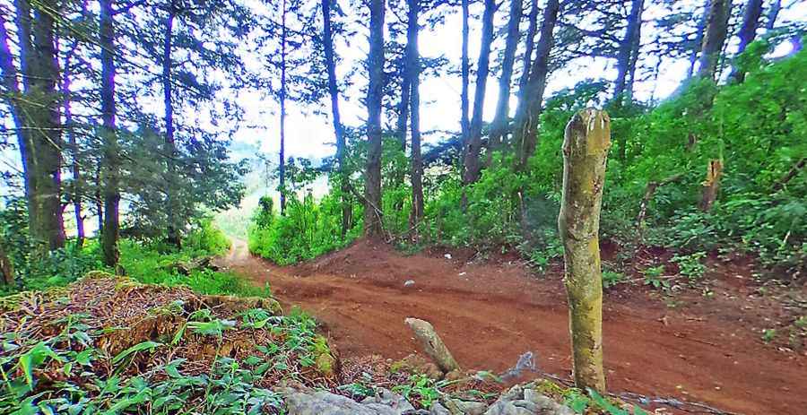 Where is Cerro El Pital