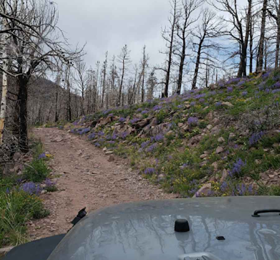 Where is Cloverdale Mine?