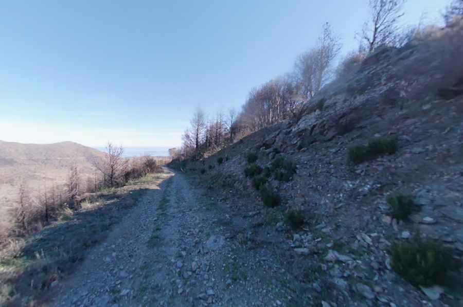 Where Is Coll de la Farella?