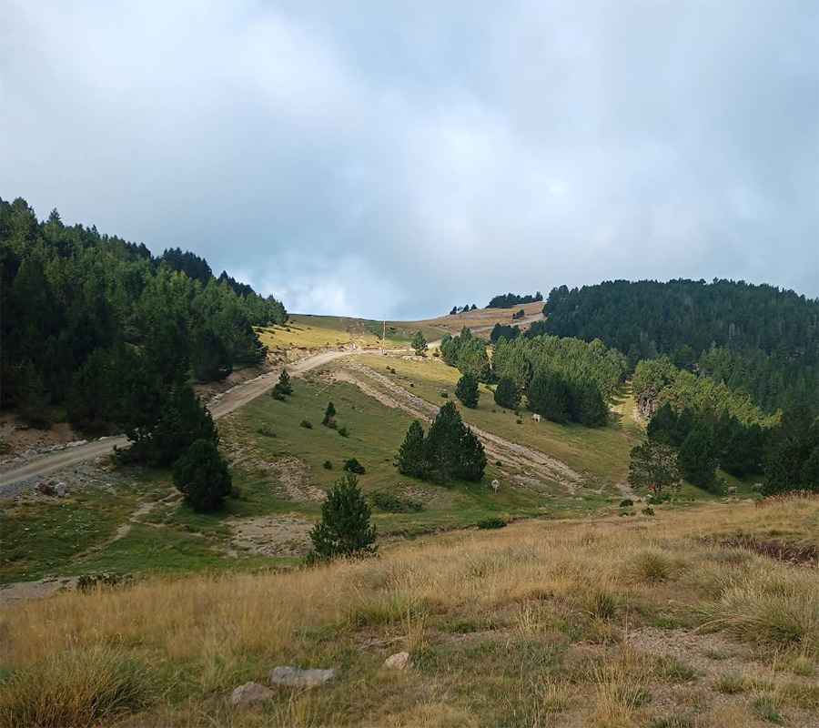 Where is Coll de Pimés?