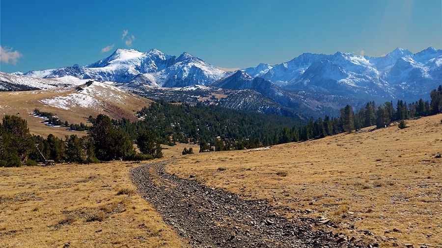 Where is Coyote Ridge?