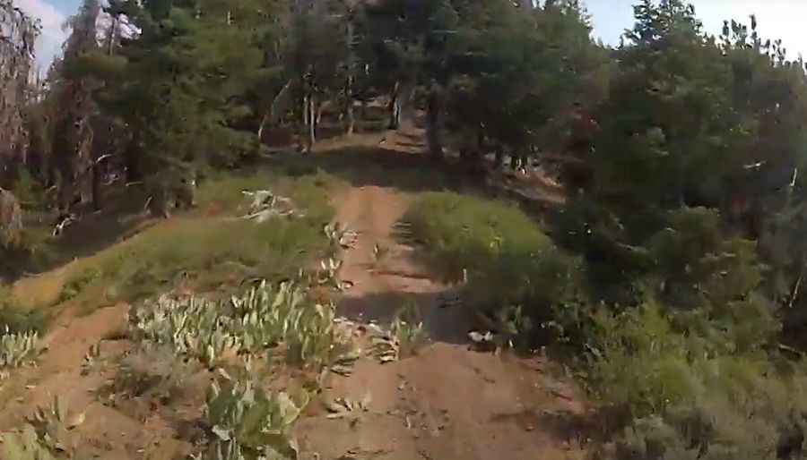 Where is Crane Mountain?