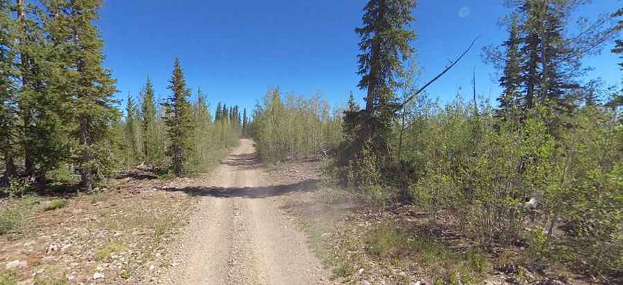 Where is Forest Road 132?