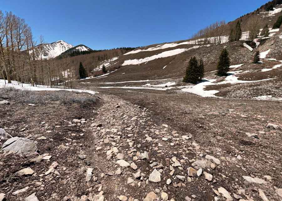 Where is Forest Road 4725?