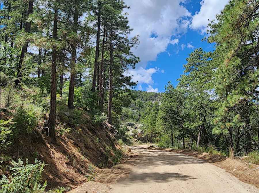 Where is Horsethief Lookout Tower?