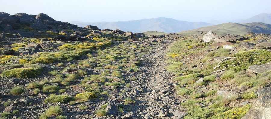 Where is Llanada del Mulhacen?