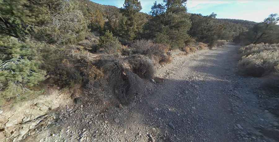 Where is Mormon Pass?