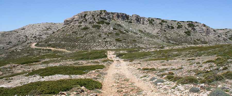 Where is Morra del Buitre Located?