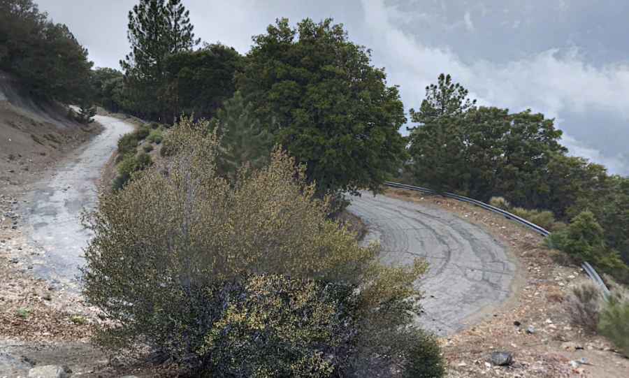 Where is Mount Disappointment?