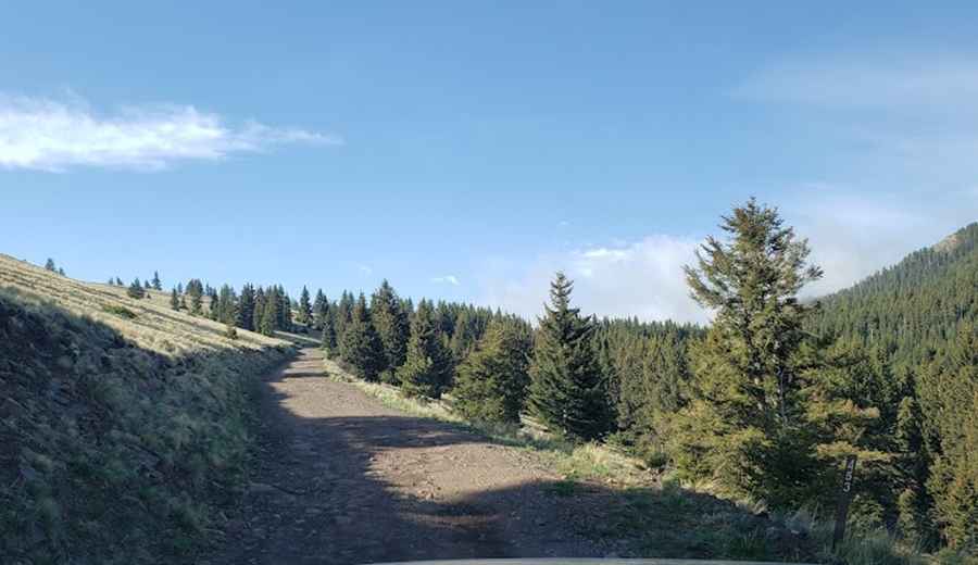 Where is Mount Taylor?