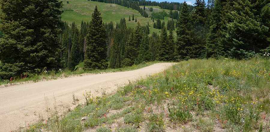 Where is Mount Tilton?