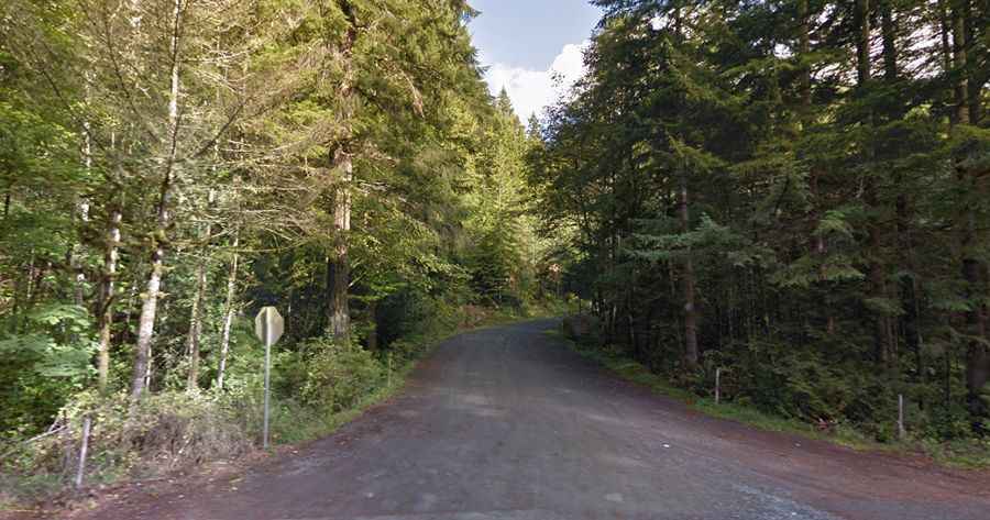 Where is Mount Walker?