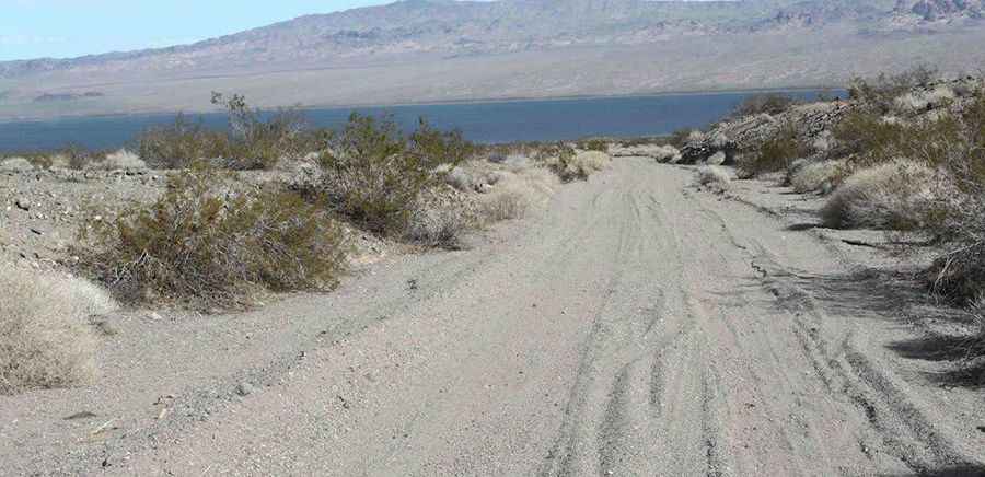 Where is Nellis Cove Road?