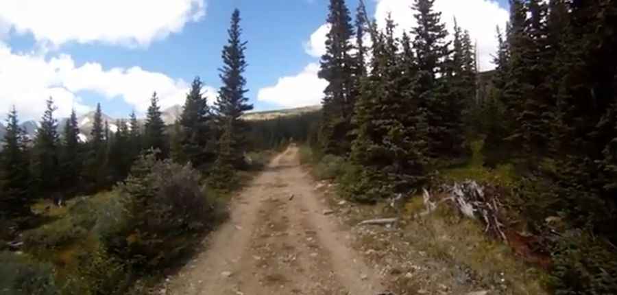 Where is Niwot Ridge?