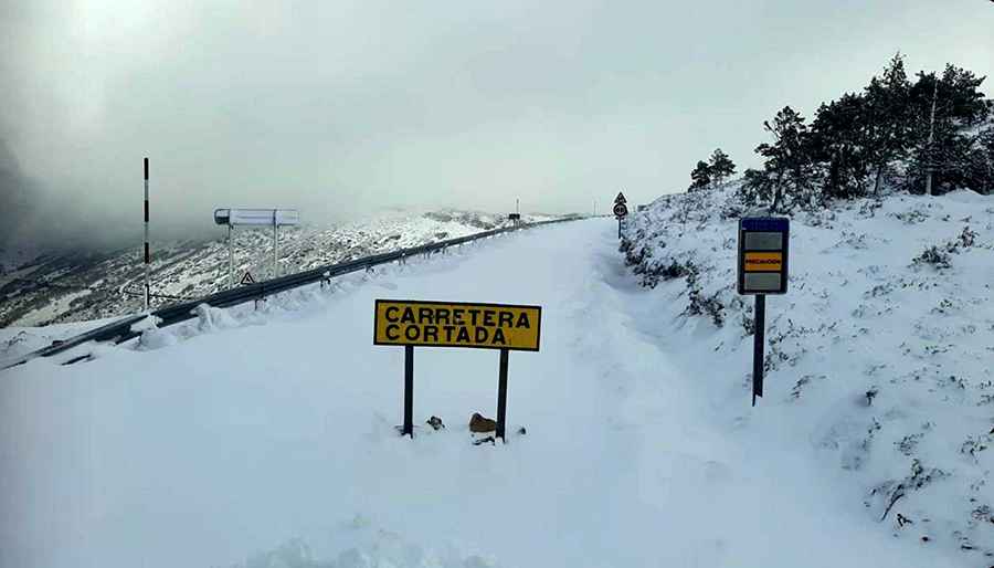 Where is Paso de los Lobos?