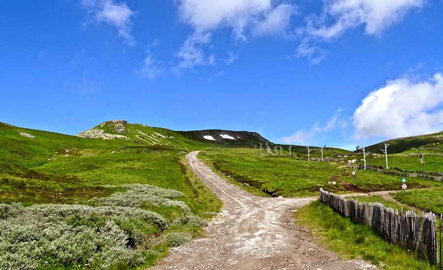 Where is Puy de la Perdrix?