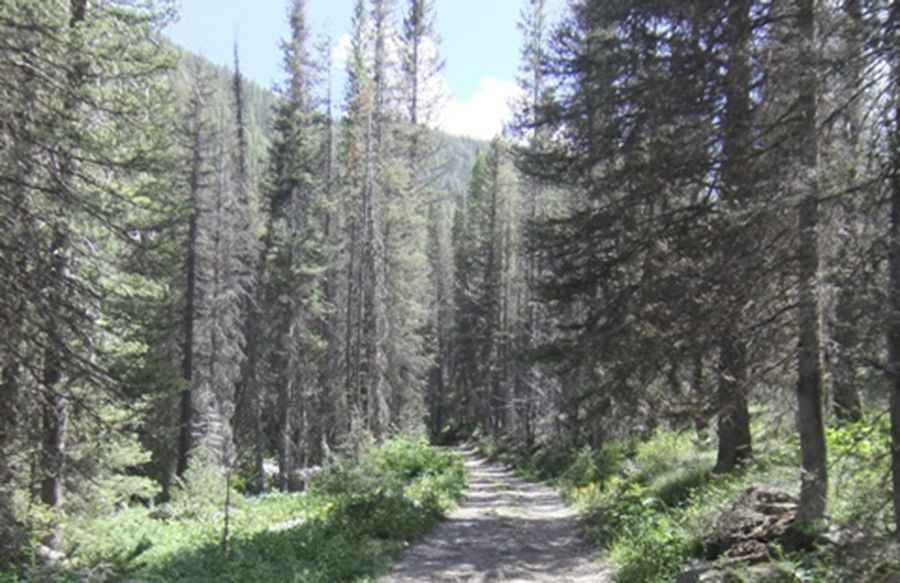 Where is Seafoam Lake?