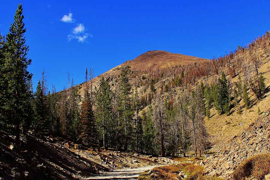 Where is Sleeping Deer Road?