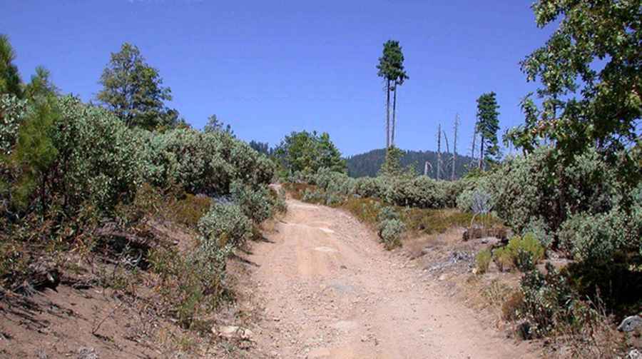 Where is the Old Coulterville Road?