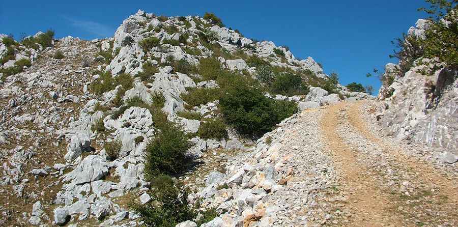 Where is the road to Lagu Terciellu?