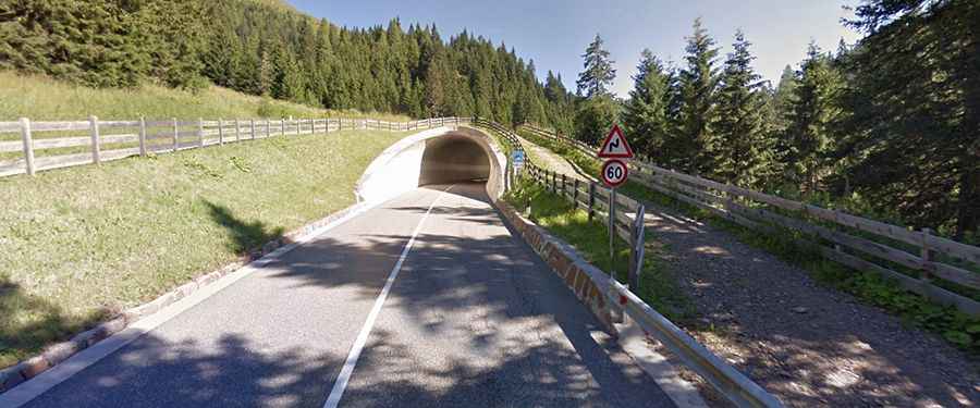 Where is the road to Passo Castrin?