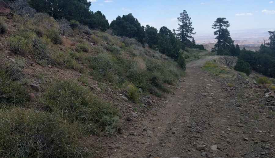 Where Is Thousand Lake Mountain?