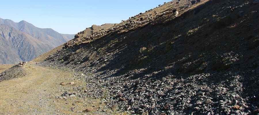 Where is Töö Ashuu Pass?