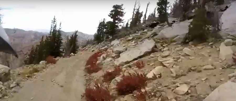 Where is Trinity Mountain?