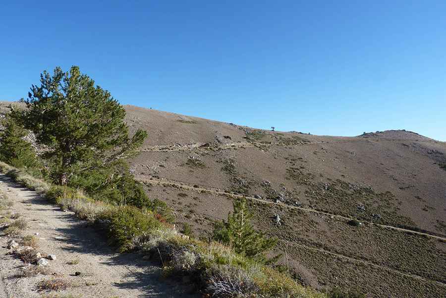 Where is TV Hill located?