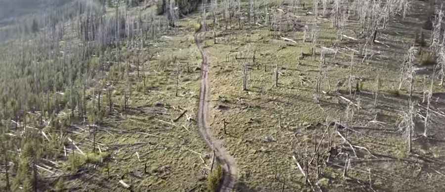 Where is Tyee Mountain?