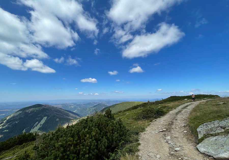 Where is Vladeasa Peak?