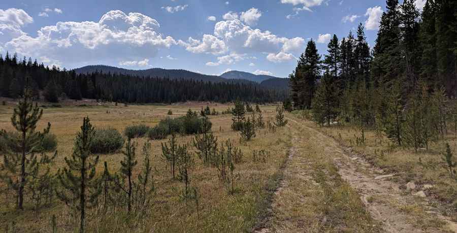 Where is Warren Lake?