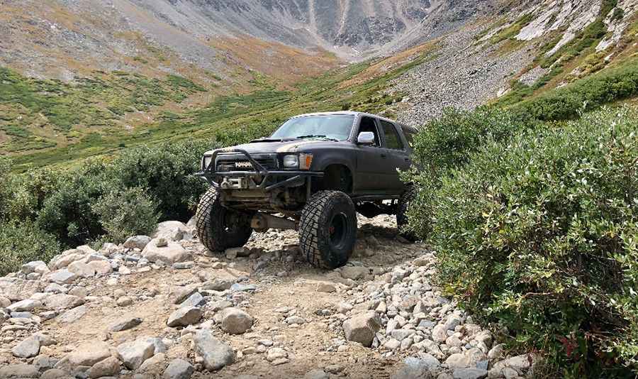 Where is Wheeler Lake?