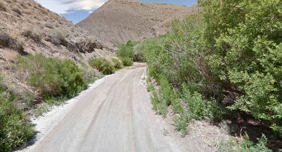 Where is Wildrose Road?