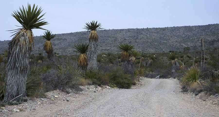 Why is Dagger Flat Auto Trail famous?