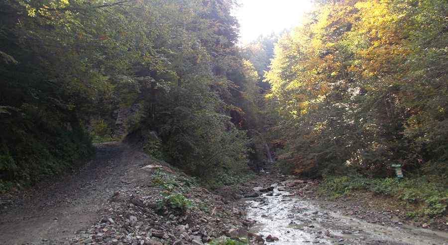 Why is Manyava Waterfall famous?